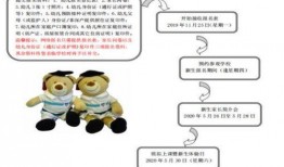 深圳小孩爆料视频大全,童言无忌，揭秘城市生活百态